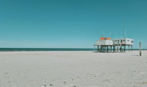 Quels sont les conseils pour camper en région de marécages sans se faire mordre par les moustiques ?
