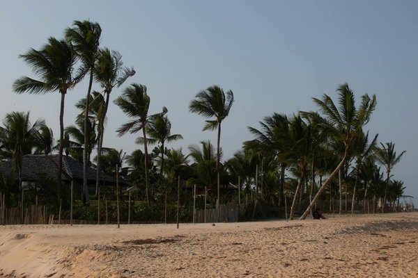 Découvrez le charme du camping de luxe en pleine nature